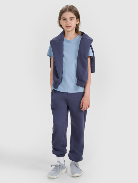 4F 4F T-Shirt BASIC+ Niebieski Regular Fit