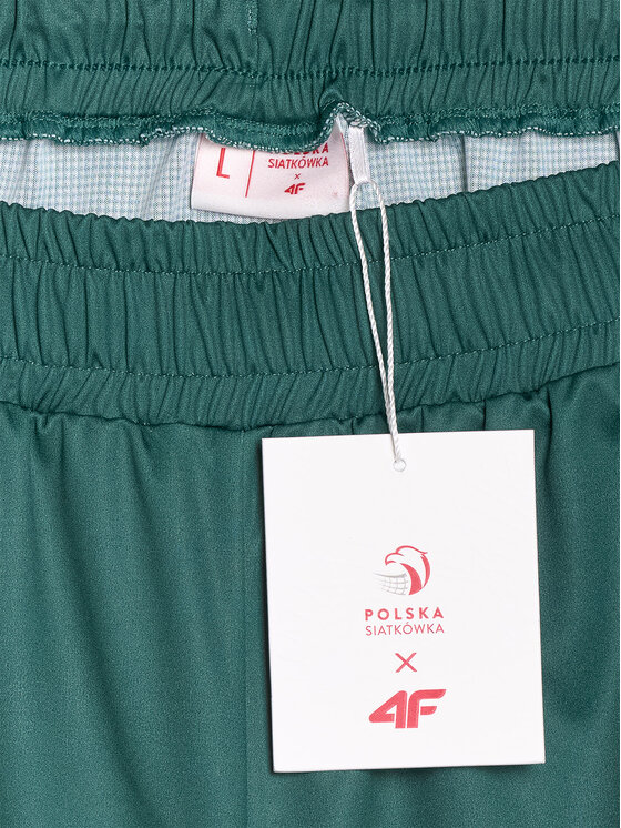4F 4F Szorty sportowe TEAMWEAR Kolorowy Regular Fit