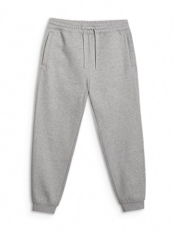4F 4F Spodnie dresowe WINTER CODE Szary jasny Regular Fit