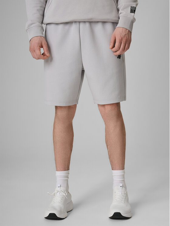 4F 4F Szorty sportowe COMMERCIAL 3 Szary jasny Regular Fit