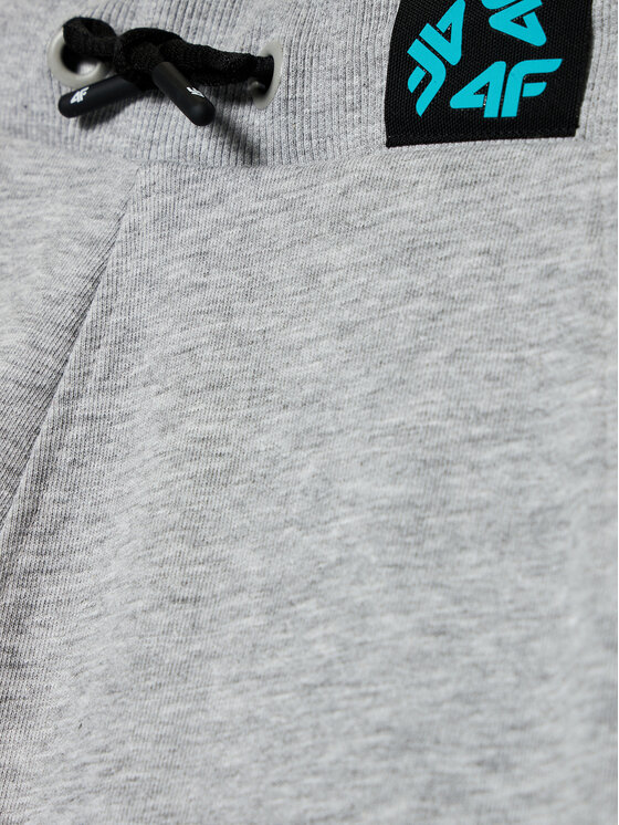 4F 4F Szorty sportowe HJL21-JSKMD003B Szary Regular Fit
