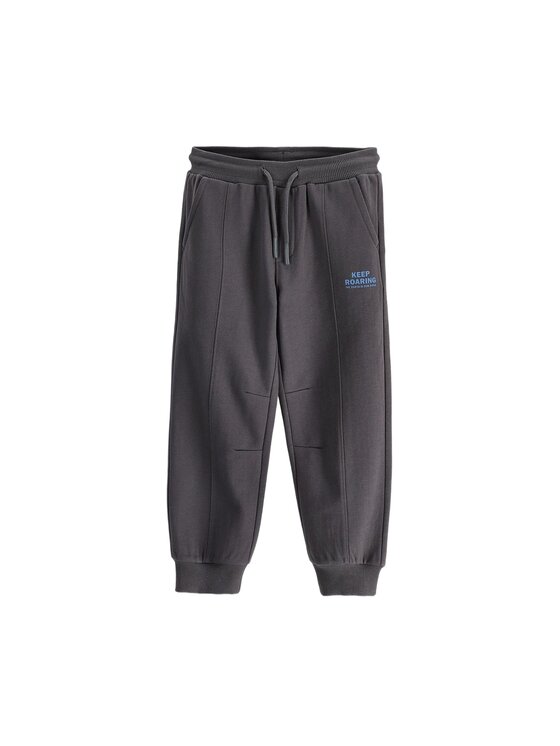 Coccodrillo Coccodrillo Spodnie dresowe ZC6120201WBK-020 Szary Regular Fit