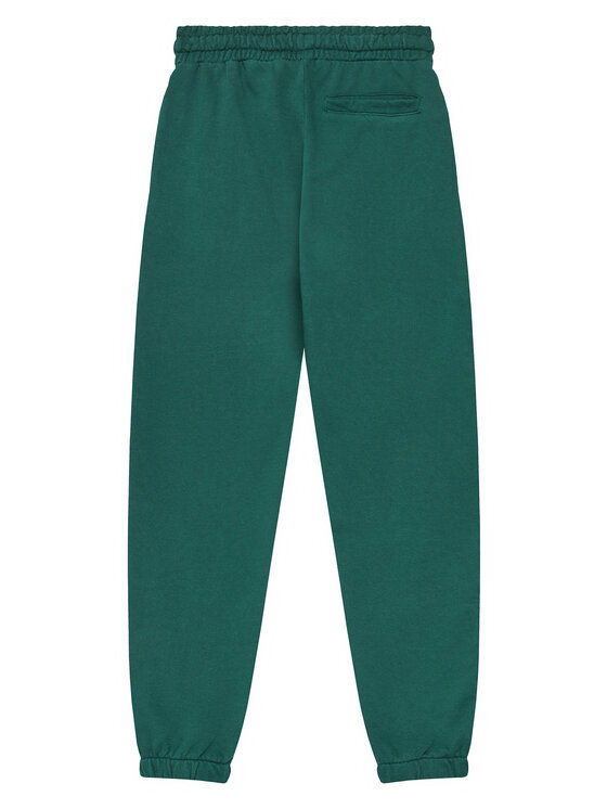 Guess Guess Jogginghose L5YQ19 KAV34 Grün Regular Fit