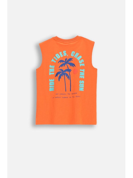 Coccodrillo Coccodrillo T-Shirt WC5143301HBJ-006 Pomarańczowy Regular Fit