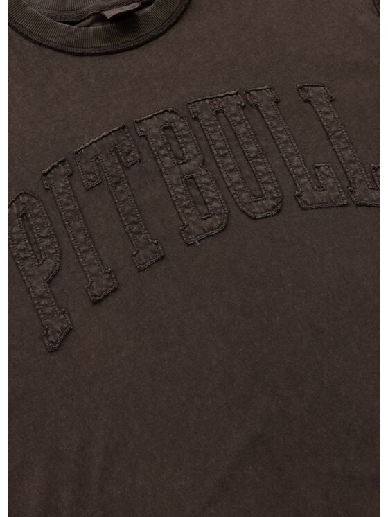 PITBULL PITBULL T-Shirt NORTON APP Brązowy Regular Fit