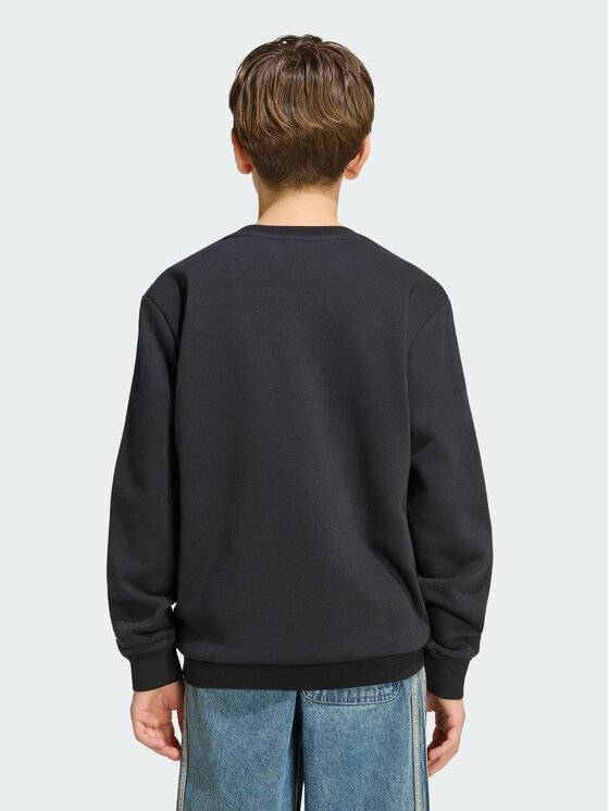 adidas adidas Bluza 169389 Czarny Loose Fit