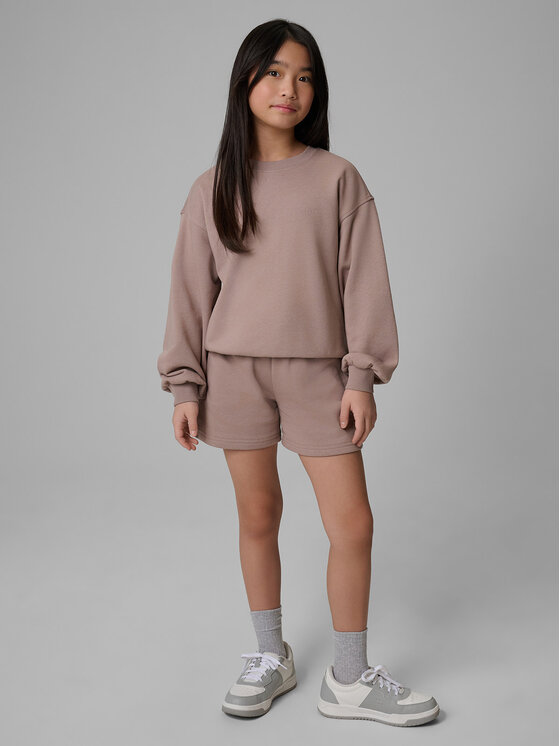 4F 4F Szorty sportowe BASIC+ Beżowy Regular Fit