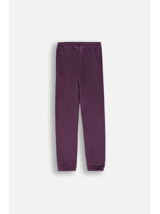 Lemon Explore Lemon Explore Spodnie dresowe ZL4120901ACG-016 Fioletowy Regular Fit