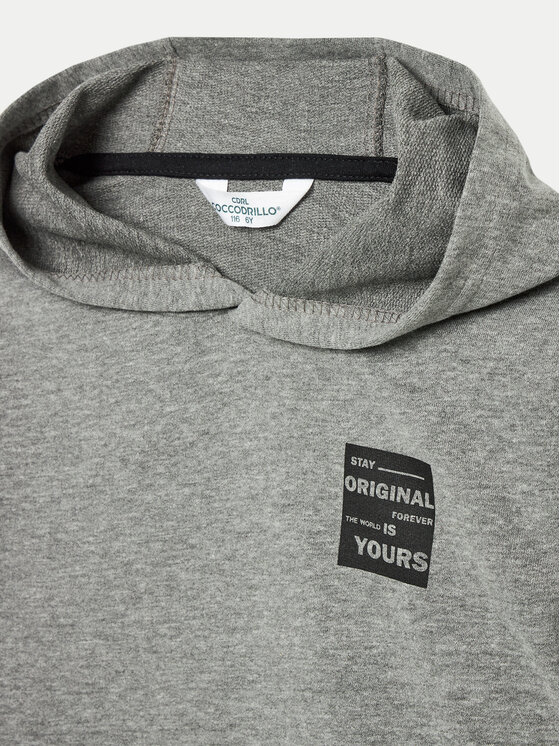 Coccodrillo Coccodrillo Sweatshirt ZC4132301VBA Grau Regular Fit