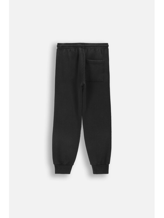 Coccodrillo Coccodrillo Spodnie dresowe WC6120101FBJ-020 Szary Regular Fit
