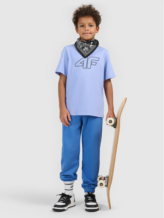 4F 4F T-Shirt BASIC+ Niebieski Regular Fit