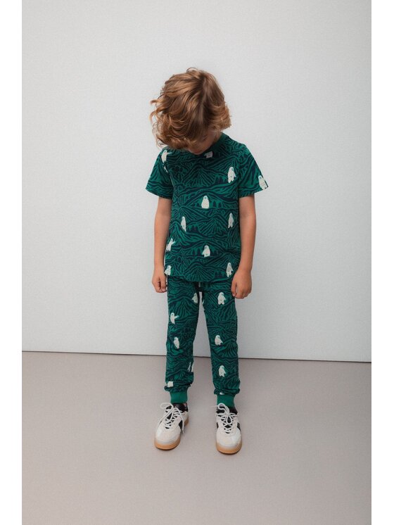 Coccodrillo Coccodrillo Spodnie dresowe ZC5122701YBK-022 Kolorowy Regular Fit