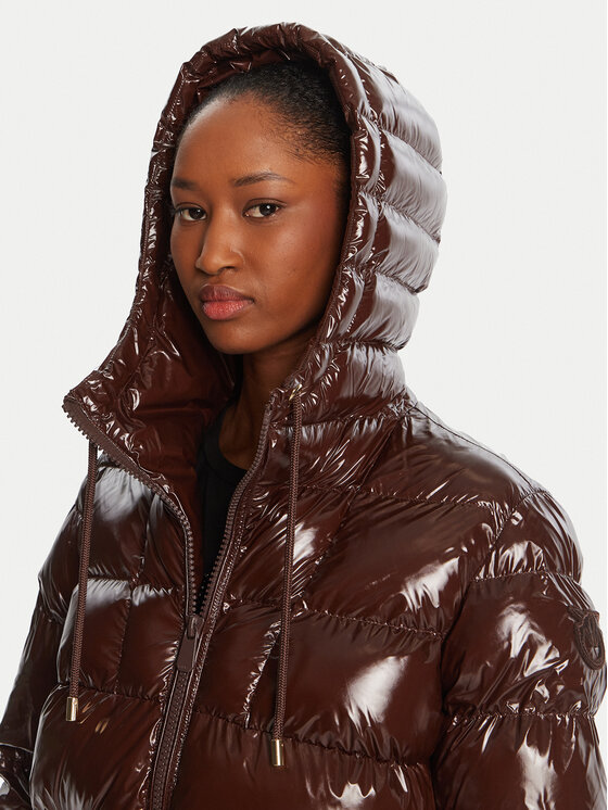 PINKO PINKO Winterjacke Eleodoro 101597 A2P7 Braun Regular Fit