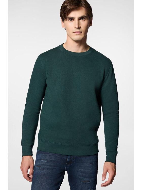 Próchnik Próchnik Bluza PM13 BL073224000004 Zielony Regular Fit
