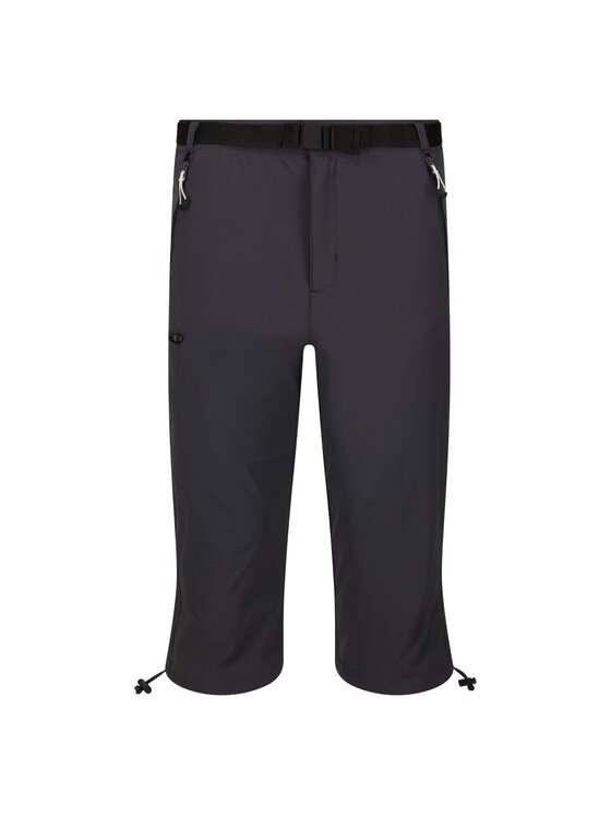 Regatta Regatta Szorty Xert Stretch III Szary Active Fit
