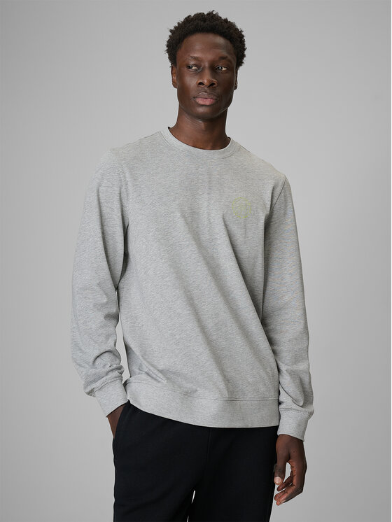4F 4F Longsleeve FLUID EXPRESSIONS Szary Regular Fit