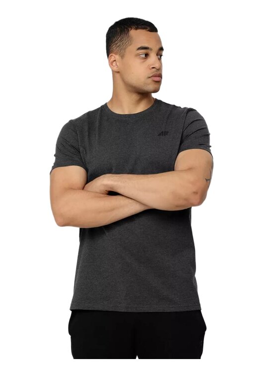 4F 4F T-Shirt H4Z22-TSM352 Szary Regular Fit