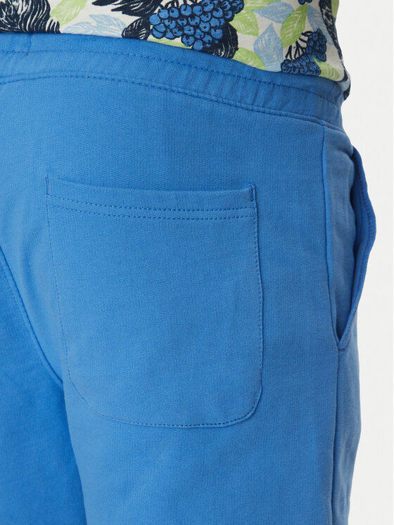 Blend Blend Sporta šorti 20718064 Zils Regular Fit
