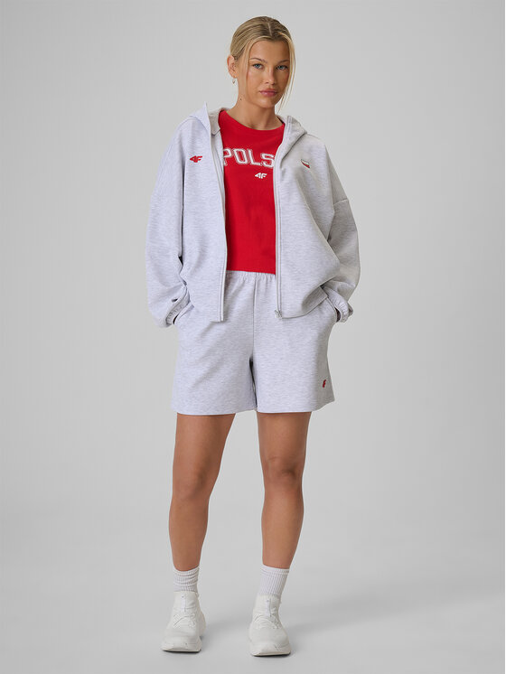 4F 4F Szorty sportowe STREFA KIBICA Szary jasny Regular Fit