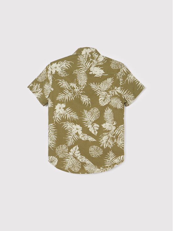 Camicia 6113 Verde Regular Fit