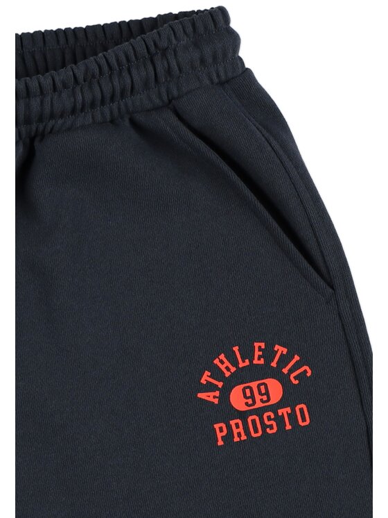 PROSTO. PROSTO. Spodnie dresowe Athletic99 Niebieski Regular Fit
