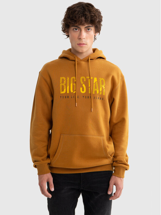 BIG STAR BIG STAR Bluza BRUDEN_803_170 Brązowy Classic Fit