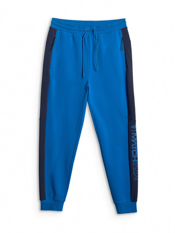 4F 4F Spodnie dresowe SPORTS CLUB Niebieski Regular Fit