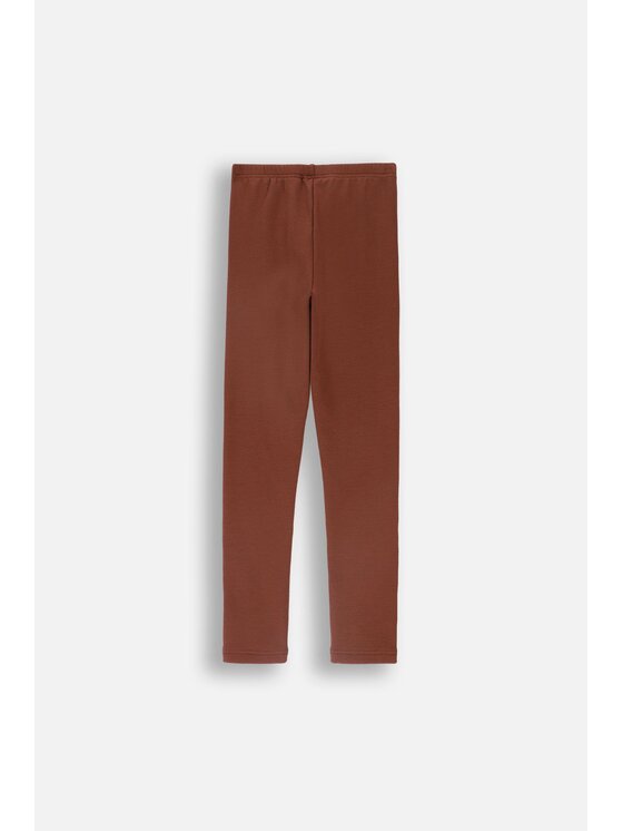 Coccodrillo Coccodrillo Legginsy ZC4122601RGJ-018 Brązowy