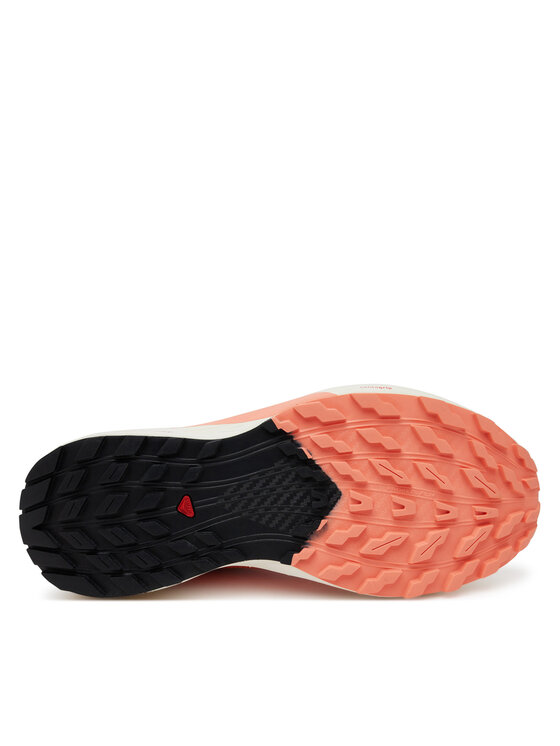 Salomon Salomon Pantofi pentru alergare Sense Ride 5 L47808700 Portocaliu
