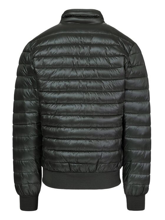 PITBULL PITBULL Kurtka przejściowa HARPER Zielony Regular Fit