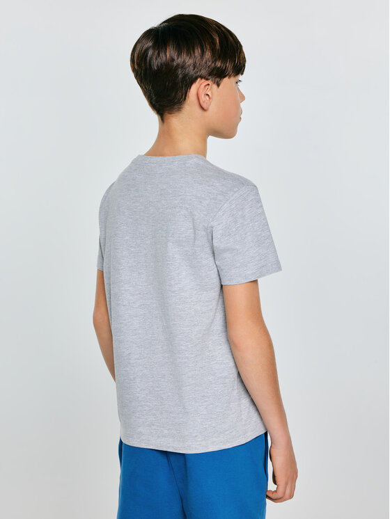 BIG STAR BIG STAR T-Shirt RAFER Szary Basic Fit