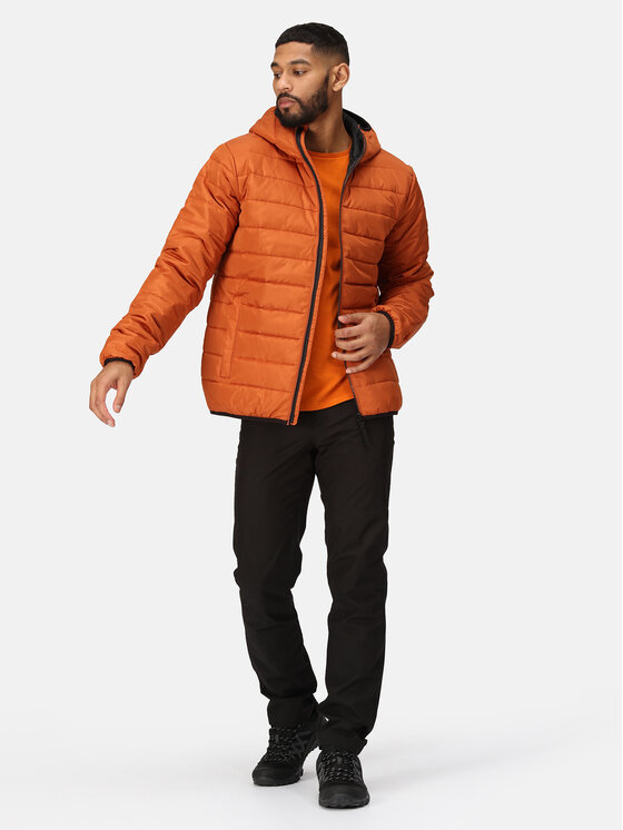 Regatta Regatta Giacca di transizione Helfa RMN154 Marrone Regular Fit