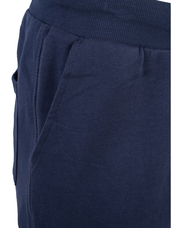 North Sails North Sails Pantaloni di tessuto 90 3203 000 | Sweatpant W/Graphic Blu scuro Regular Fit