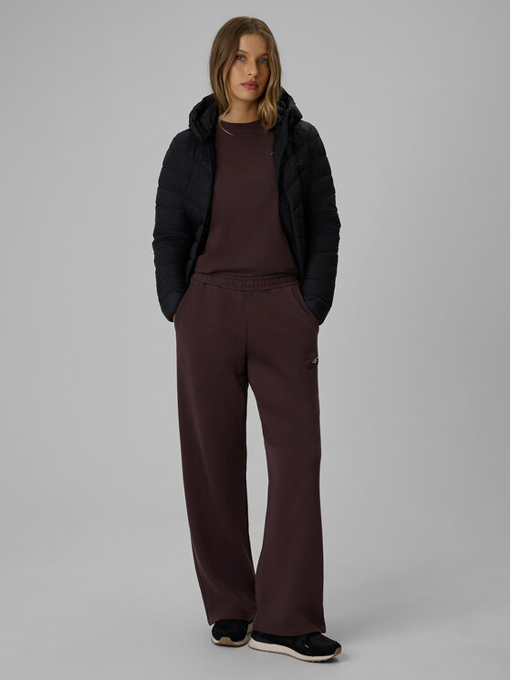 4F 4F Spodnie dresowe basic Brązowy Regular Fit