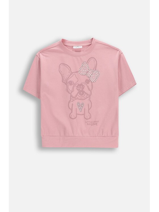 Coccodrillo Coccodrillo T-Shirt WC6143202HGK-007 Růžová Regular Fit