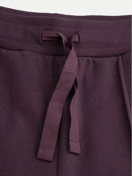 Coccodrillo Coccodrillo Jogginghose ZC4120103AGJ Violett Regular Fit