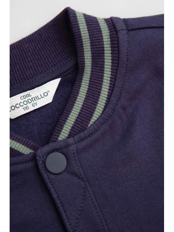Coccodrillo Coccodrillo Mikina WC5132202SBK-022 Barevná Regular Fit