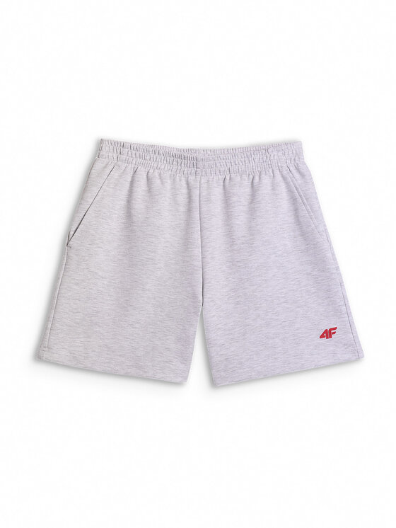 4F 4F Szorty sportowe STREFA KIBICA Szary jasny Regular Fit