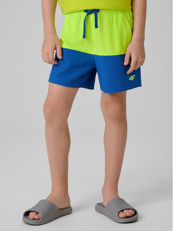 4F 4F Szorty sportowe BEACHSIDE CHILL Zielony Regular Fit
