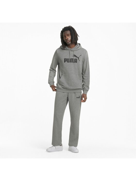 Puma Puma Bluza 586688-03_L Szary Regular Fit