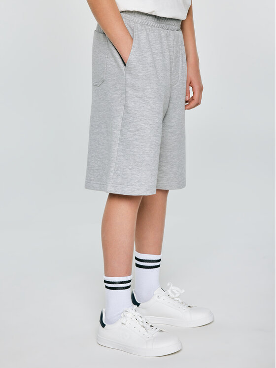 BIG STAR BIG STAR Szorty materiałowe DONER Szary Comfort Fit