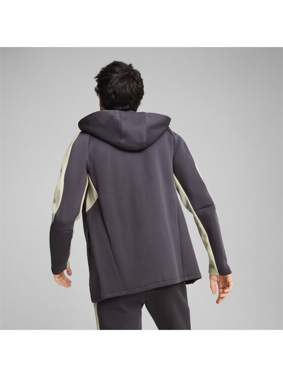 Puma Puma Bluza 681700 Szary Regular Fit