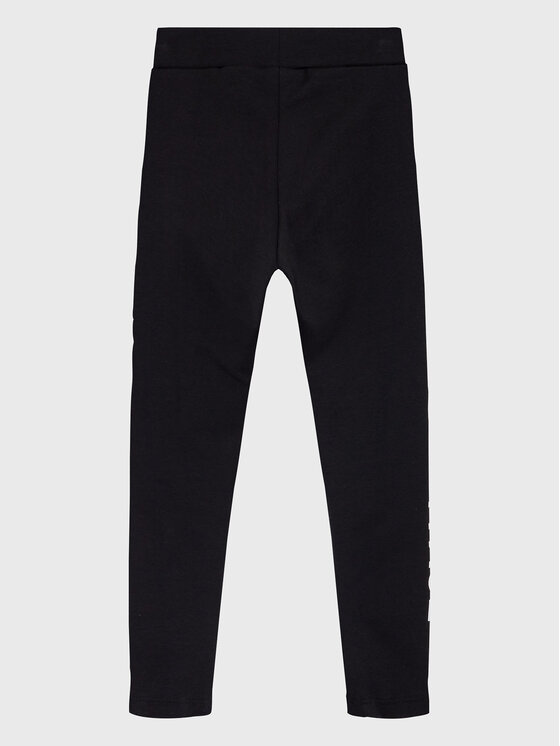 The North Face The North Face Leggings Graphic NF0A82EQ Crna Slim Fit