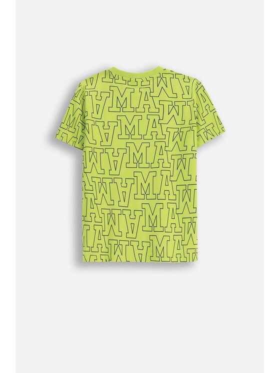 Coccodrillo Coccodrillo T-Shirt ZC5143203ABJ-012 Zielony Regular Fit