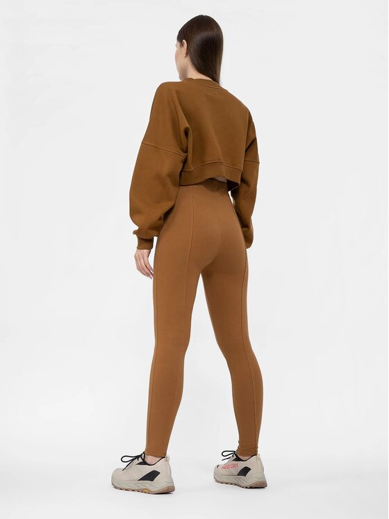 4F 4F Leggings 4FAW22TTROF260-81S Marrone Regular Fit