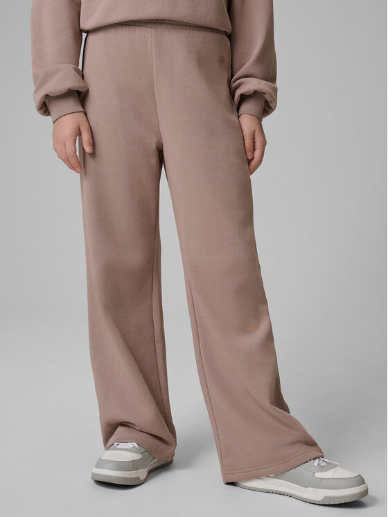 4F 4F Spodnie dresowe BASIC+ Beżowy Regular Fit