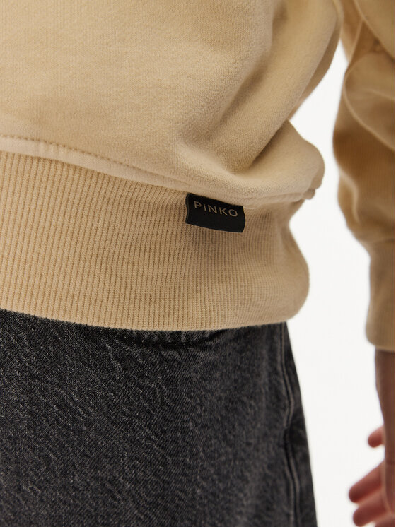 PINKO PINKO Felpa Raboni 104458 A297 Beige Regular Fit