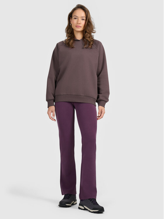 4F 4F Bluza BASIC+ Brązowy jasny Loose Fit