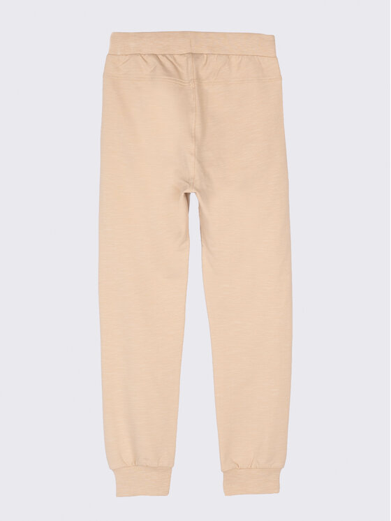 Pantaloni da tuta WC2120101GRO Beige Regular Fit