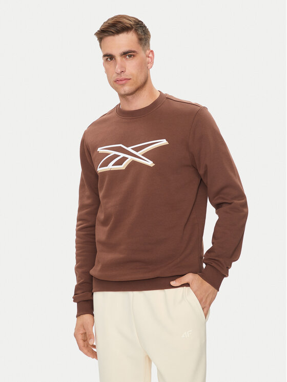 Reebok Reebok Μπλούζα Vector Logo 100202412 Καφέ Regular Fit